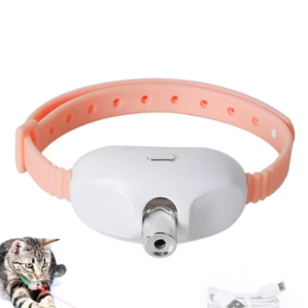 Collar láser para gatos: juego y ejercicio