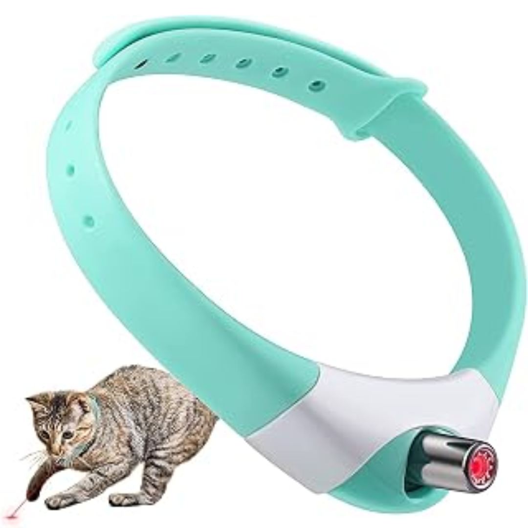 Collar láser para gatos: juego y ejercicio