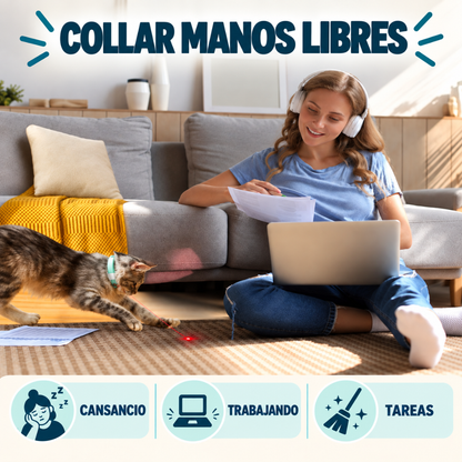 Collar láser para gatos: juego y ejercicio