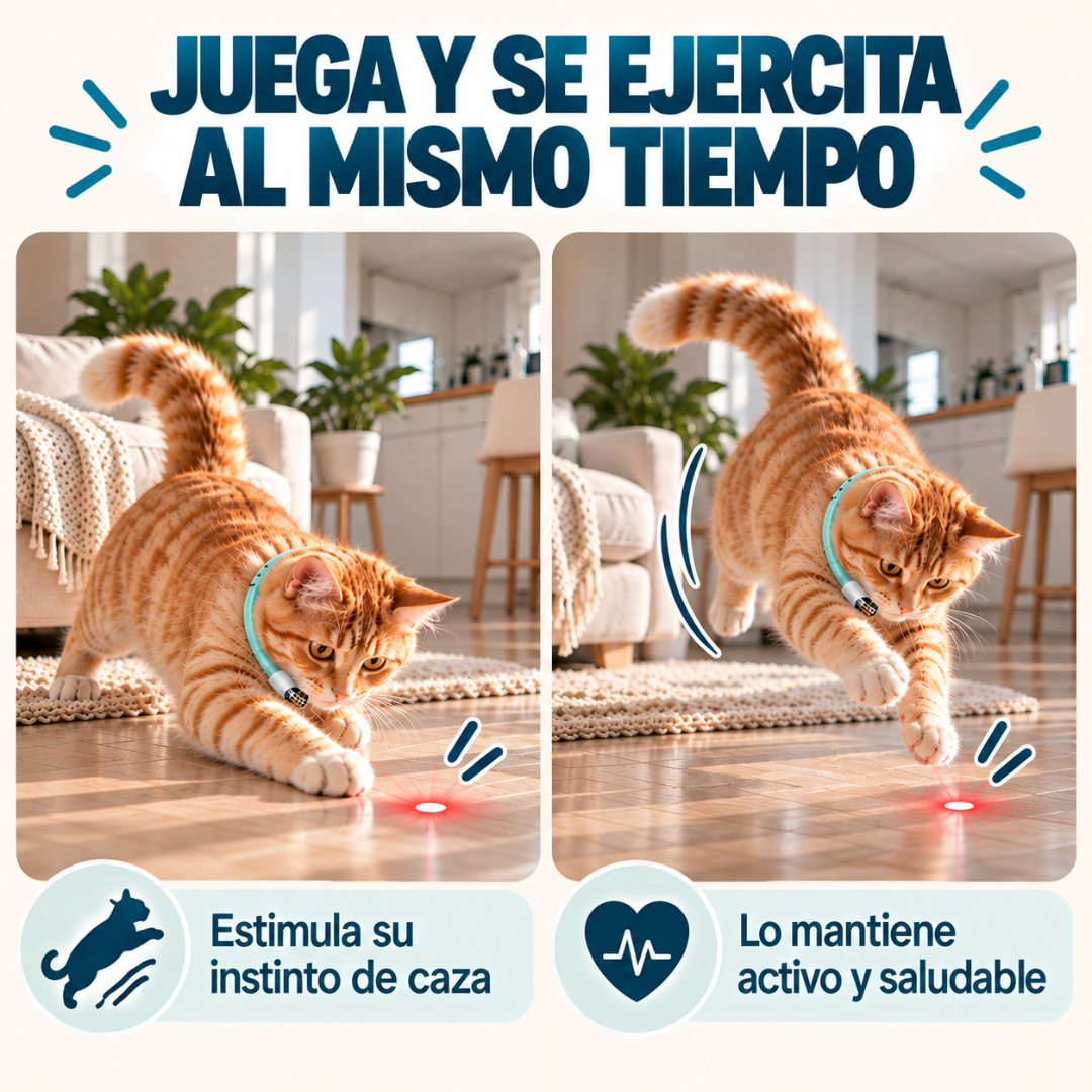 Collar láser para gatos: juego y ejercicio