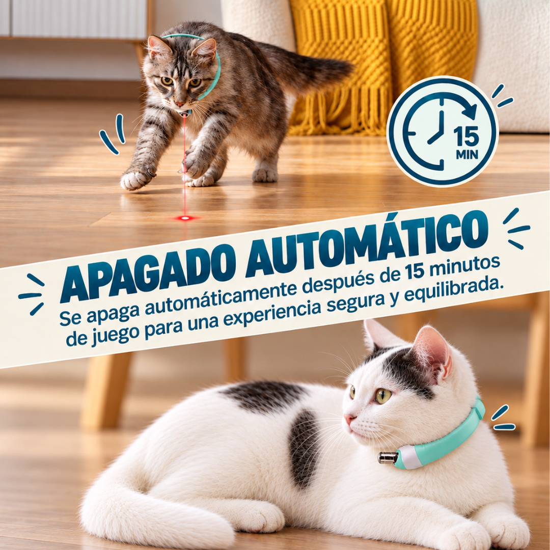 Collar láser para gatos: juego y ejercicio