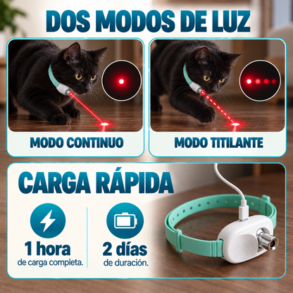 Collar láser para gatos: juego y ejercicio
