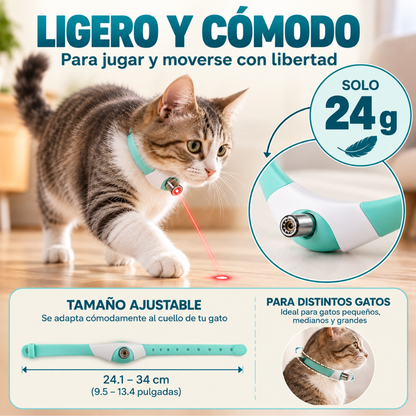 Collar láser para gatos: juego y ejercicio