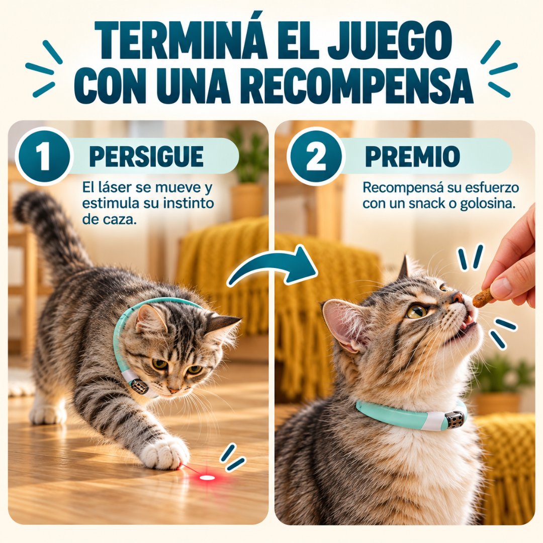 Collar láser para gatos: juego y ejercicio