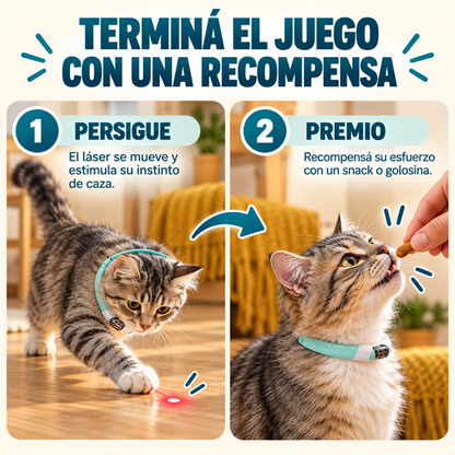 Collar láser para gatos: juego y ejercicio