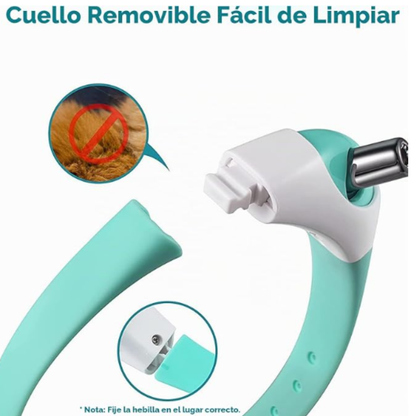 Collar láser para gatos: juego y ejercicio